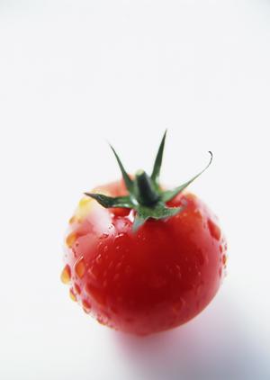 休日に家族や友人と楽しむ最高の料理体験！あんこう鍋の魅力とおすすめレストランをご紹介します！