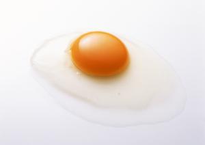 仙台のおすすめカフェ完全ガイド2026：穴場スポットから最新トレンドまで網羅