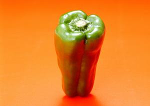 綱島で絶品！伝説のすた丼屋の魅力と店舗情報を徹底解説